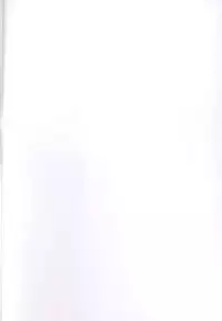 (C90) [Yukimi Honpo (Asano Yukino)] Tsuma Koi 4 (Mahou Tsukai Precure!)