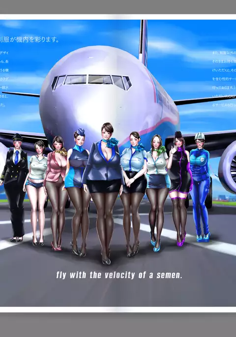 Shin Waritaka Koukuu Inseibi Airline 2020