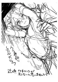 (C91) [Kuromisakaijou (Ikezaki Misa)] Fate/DTorder course:Alexander (Fate/Grand Order)